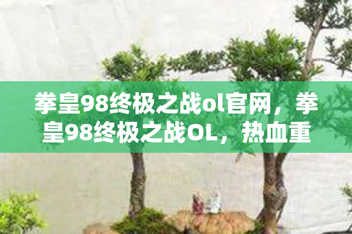 拳皇98终极之战ol官网，拳皇98终极之战OL，热血重燃的格斗盛宴