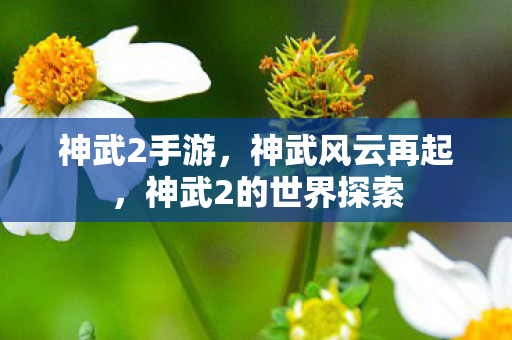 神武2手游，神武风云再起，神武2的世界探索