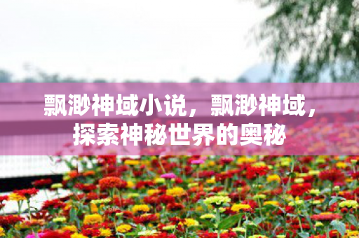 飘渺神域小说，飘渺神域，探索神秘世界的奥秘