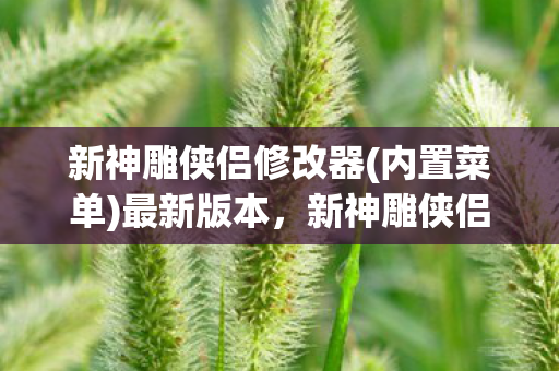 新神雕侠侣修改器(内置菜单)最新版本，新神雕侠侣2修改器，游戏世界的神奇工具