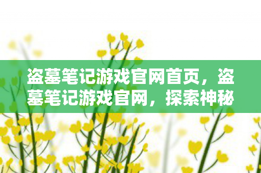 盗墓笔记游戏官网首页，盗墓笔记游戏官网，探索神秘世界的起点