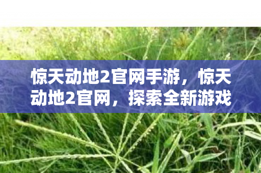 惊天动地2官网手游，惊天动地2官网，探索全新游戏世界的门户