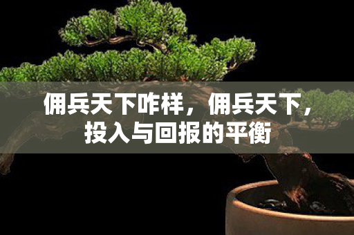 佣兵天下咋样，佣兵天下，投入与回报的平衡