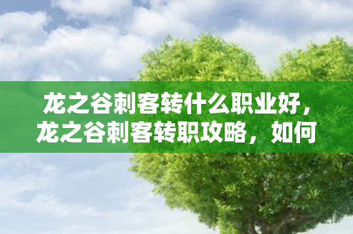 龙之谷刺客转什么职业好，龙之谷刺客转职攻略，如何选择最佳转职方向