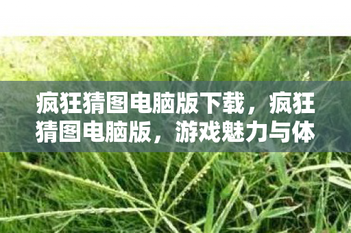 疯狂猜图电脑版下载，疯狂猜图电脑版，游戏魅力与体验探索