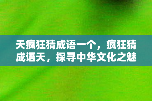 天疯狂猜成语一个，疯狂猜成语天，探寻中华文化之魅力