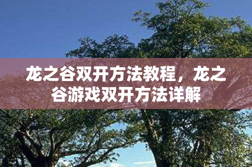 龙之谷双开方法教程，龙之谷游戏双开方法详解