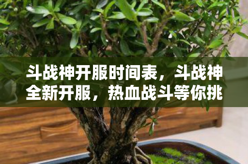 斗战神开服时间表，斗战神全新开服，热血战斗等你挑战！