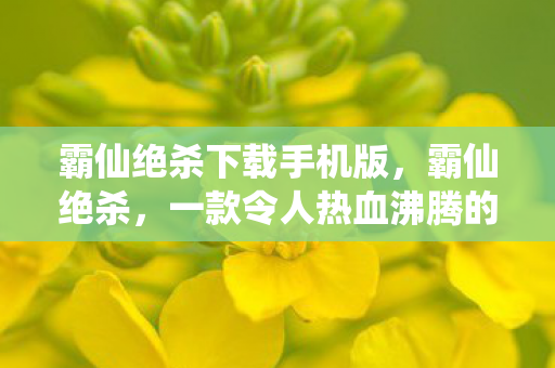 霸仙绝杀下载手机版，霸仙绝杀，一款令人热血沸腾的游戏下载体验