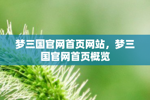 梦三国官网首页网站，梦三国官网首页概览