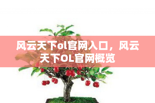 风云天下ol官网入口，风云天下OL官网概览