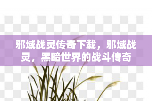 邪域战灵传奇下载，邪域战灵，黑暗世界的战斗传奇