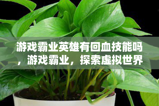 游戏霸业英雄有回血技能吗，游戏霸业，探索虚拟世界的无限可能