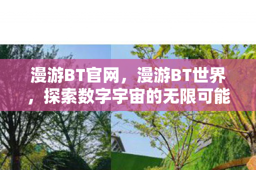 漫游BT官网，漫游BT世界，探索数字宇宙的无限可能