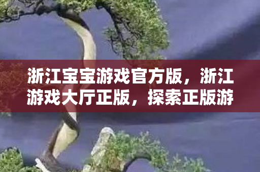 浙江宝宝游戏官方版，浙江游戏大厅正版，探索正版游戏的魅力与价值