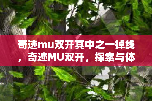 奇迹mu双开其中之一掉线，奇迹MU双开，探索与体验双倍的乐趣