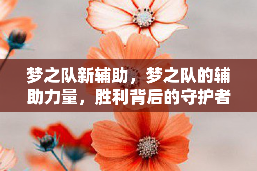 梦之队新辅助，梦之队的辅助力量，胜利背后的守护者