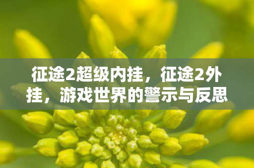 征途2超级内挂，征途2外挂，游戏世界的警示与反思