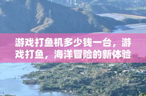 游戏打鱼机多少钱一台，游戏打鱼，海洋冒险的新体验