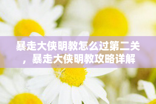 暴走大侠明教怎么过第二关，暴走大侠明教攻略详解