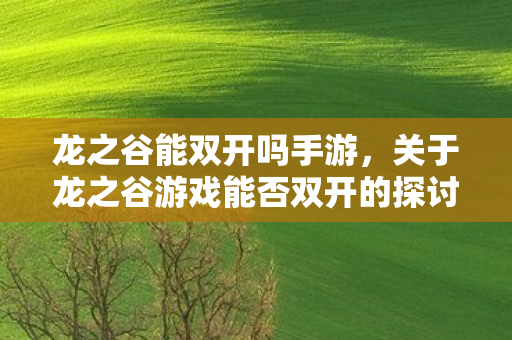 龙之谷能双开吗手游，关于龙之谷游戏能否双开的探讨