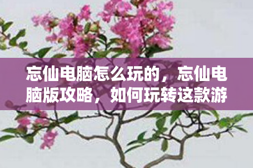 忘仙电脑怎么玩的，忘仙电脑版攻略，如何玩转这款游戏