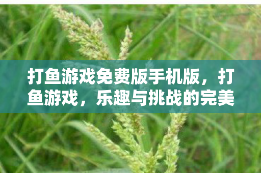 打鱼游戏免费版手机版，打鱼游戏，乐趣与挑战的完美结合