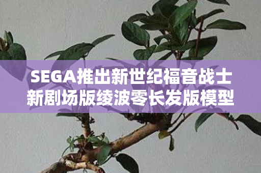 SEGA推出新世纪福音战士新剧场版绫波零长发版模型—收藏爱好者的福音