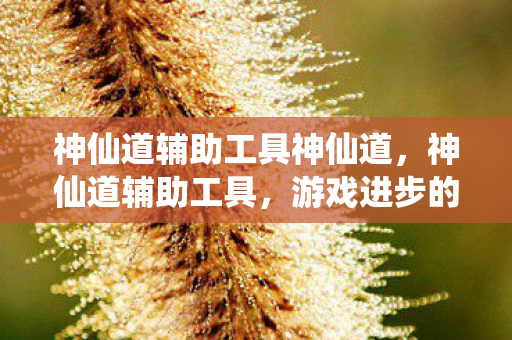 神仙道辅助工具神仙道，神仙道辅助工具，游戏进步的伙伴