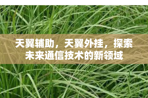 天翼辅助，天翼外挂，探索未来通信技术的新领域