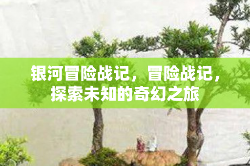 银河冒险战记，冒险战记，探索未知的奇幻之旅