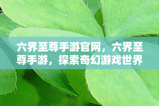 六界至尊手游官网，六界至尊手游，探索奇幻游戏世界的极致体验