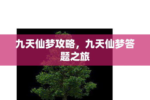 九天仙梦攻略，九天仙梦答题之旅