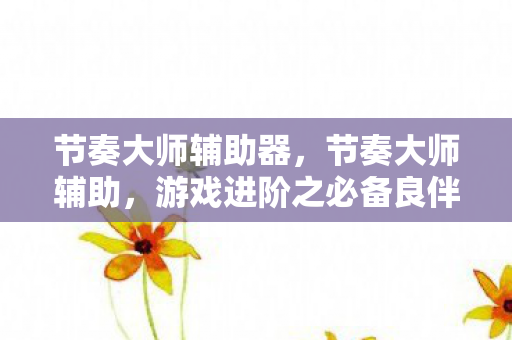 节奏大师辅助器，节奏大师辅助，游戏进阶之必备良伴