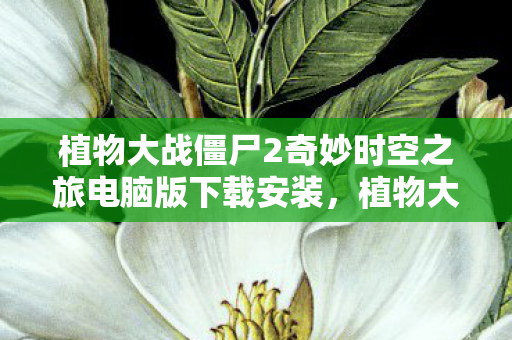 植物大战僵尸2奇妙时空之旅电脑版下载安装，植物大战僵尸2奇妙时空之旅电脑版下载攻略