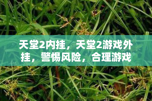 天堂2内挂，天堂2游戏外挂，警惕风险，合理游戏