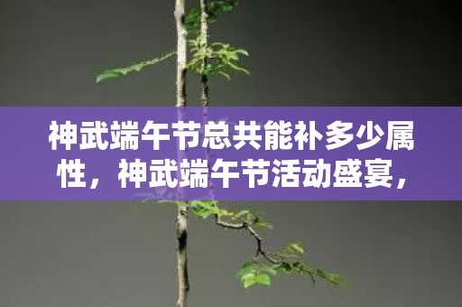 神武端午节总共能补多少属性，神武端午节活动盛宴，体验浓厚的节日氛围