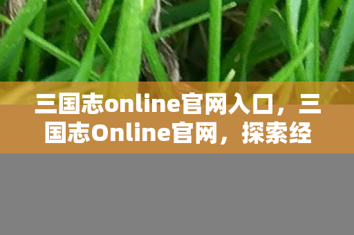 三国志online官网入口，三国志Online官网，探索经典战略游戏的在线世界