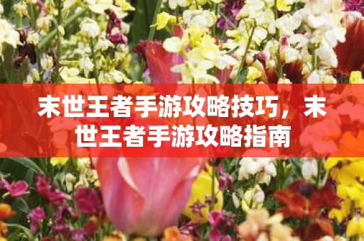 末世王者手游攻略技巧，末世王者手游攻略指南