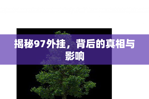 揭秘97外挂，背后的真相与影响