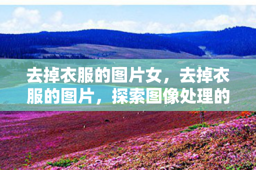去掉衣服的图片女，去掉衣服的图片，探索图像处理的新领域