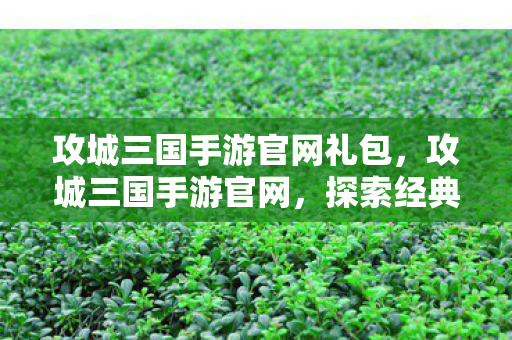 攻城三国手游官网礼包，攻城三国手游官网，探索经典战略游戏的无限魅力