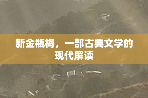 新金瓶梅，一部古典文学的现代解读