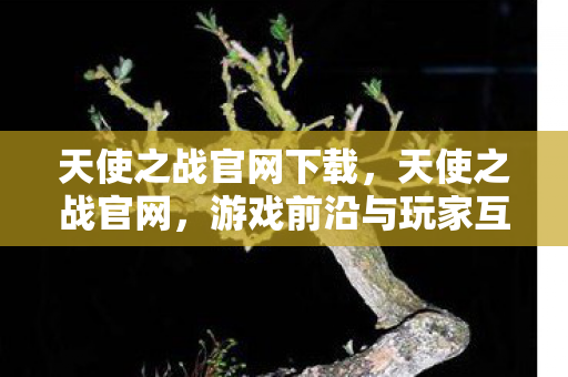 天使之战官网下载，天使之战官网，游戏前沿与玩家互动平台