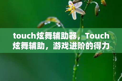 touch炫舞辅助器，Touch炫舞辅助，游戏进阶的得力助手