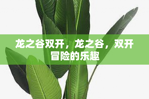 龙之谷双开，龙之谷，双开冒险的乐趣