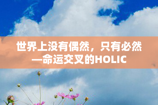 世界上没有偶然，只有必然—命运交叉的HOLIC