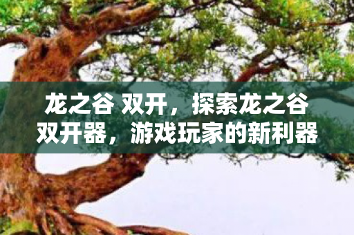 龙之谷 双开，探索龙之谷双开器，游戏玩家的新利器