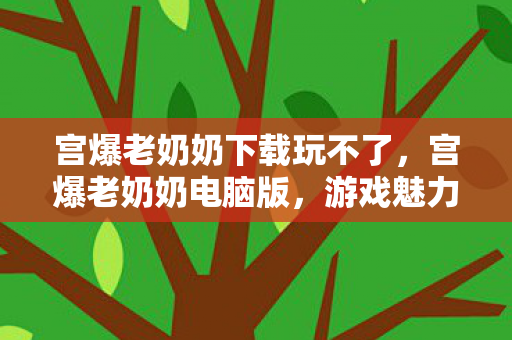 宫爆老奶奶下载玩不了，宫爆老奶奶电脑版，游戏魅力与玩法解析