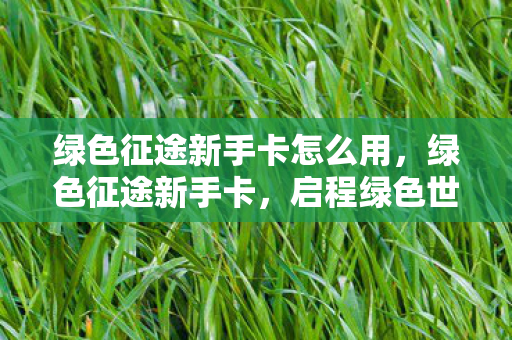 绿色征途新手卡怎么用，绿色征途新手卡，启程绿色世界的必备利器